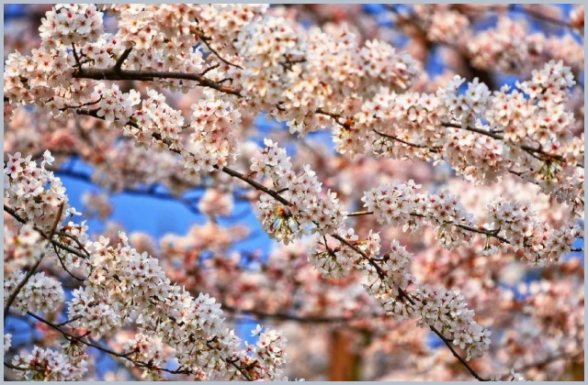 Օդի ջերմաստիճանը սկզբում կբարձրանա ևս 1-2 աստիճանով, այնուհետև աստիճանաբար կնվազի 4-6 աստիճանով